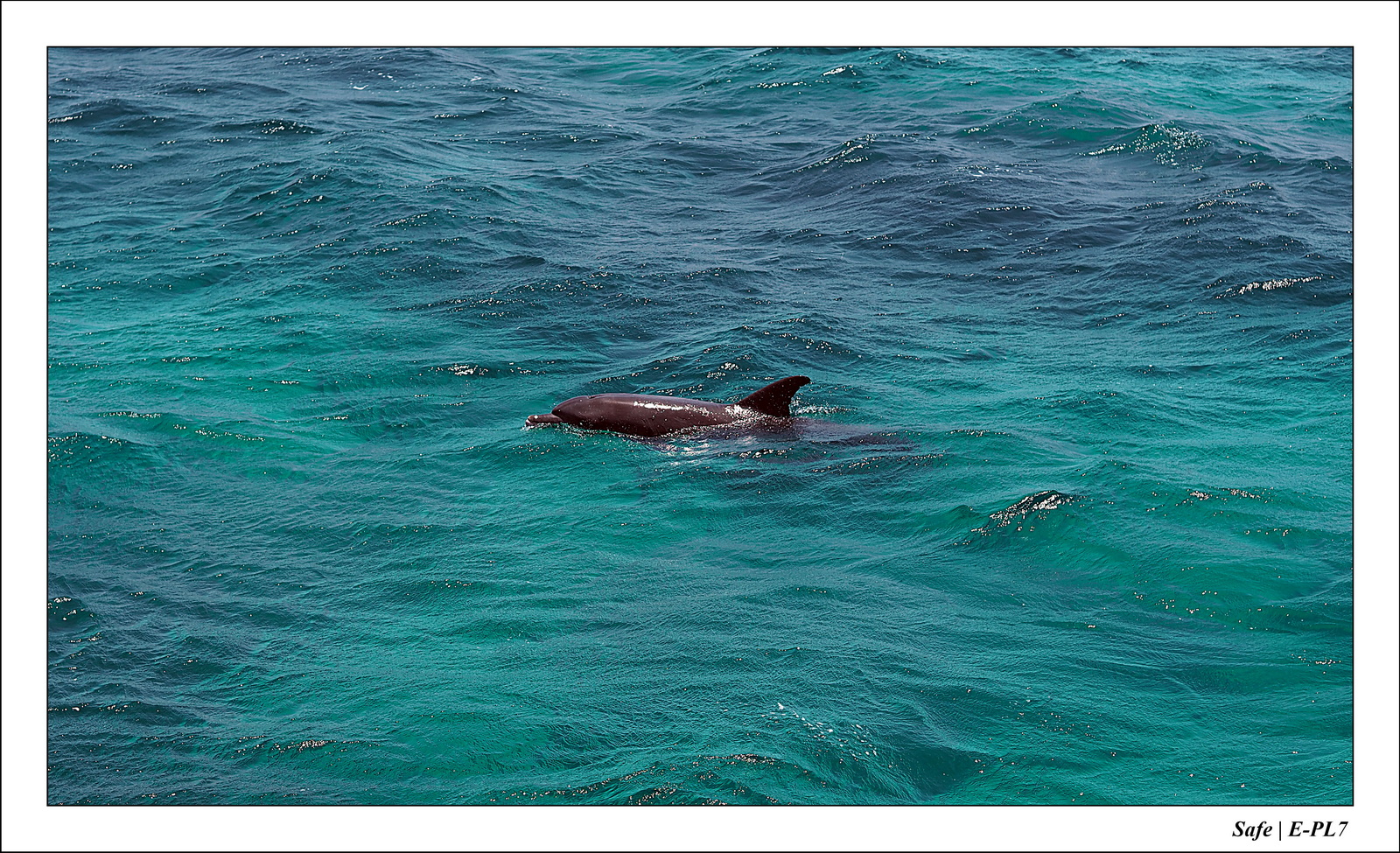 Hurghada - Juillet 2021 - 017